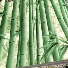 vinyl green bamboo wall wallpaper