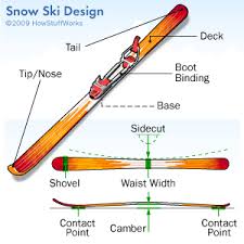 What Size Skis Do I Need Gadget Review
