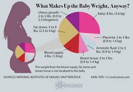 24 Baby Weight Charts Template Lab