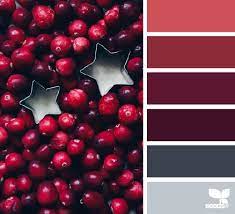 Cranberry Red Seeds Color Design