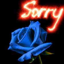 rose background apology
