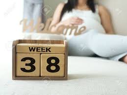 Calendar With Weeks 38 Of Pregnant With Pregnancy Woman Background