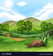 field and hills royalty free vector image