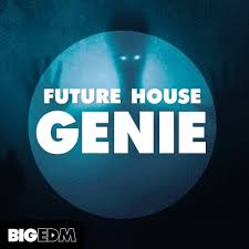 Future House Genie Big Edm