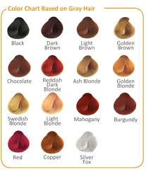 Ash Hair Color Chart Jasonkellyphoto Co