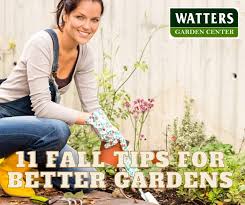 11 Fall Tips For Better Gardens