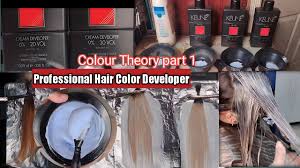 hair color developer explained
