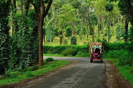 tourist places to visit in coorg 2024