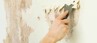 Best Primer For Plaster Wallpaper