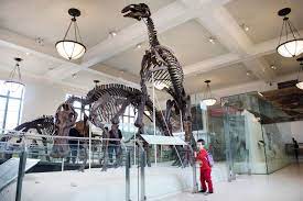 the absolute best museums for kids in nyc