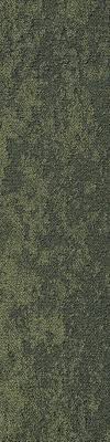 shaw seek carpet tile moss 12 x 48