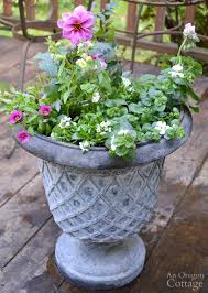 Simple Flower Pot Design For Sun With