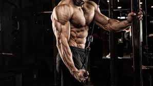 powerful arms train your triceps