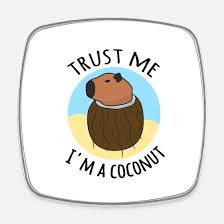 trust me i m a coconut capybara meme