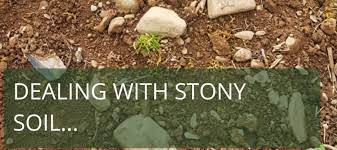 My Soil Is Full Of Stones Improve