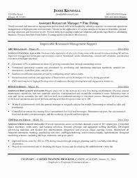 Project Manager Resume Templates Lovely 95 Marketing Manager