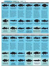 North Carolina Fishing Chart Marine Animal Charts Walleye