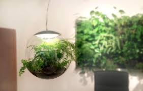 Babylone Clear Suspended Lights From Greenworks Architonic