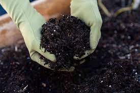 how to test soil ph with and without a kit
