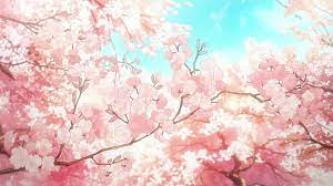 aesthetic anime cherry blossom sakura