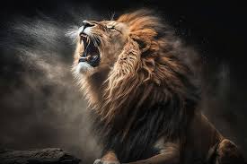 premium photo lion roaring zoo