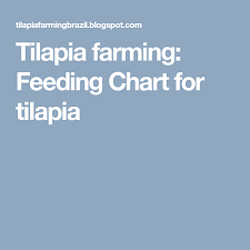 Tilapia Farming Feeding Chart For Tilapia Tilapia
