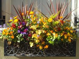 Large copper plastic planters outdoor garden flower pots & window box porch yard. Window Box Wikipedia