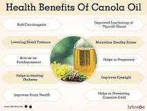 What are the side effects of canola oil?