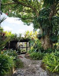 Small Tropical Gardens Tropical Garden