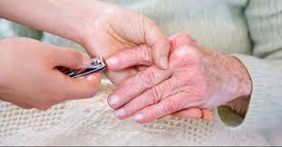 the best nail clipper for seniors