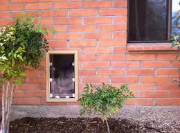 dog door installation