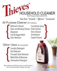 Young Living Thieves Cleaner Charming Charis