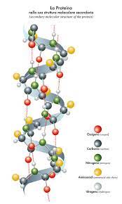 protein structure biology