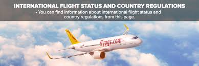 Changes to travel policy in qatar. Where Can I Fly During The Coronavirus Covid 19 Pegasus Airlines