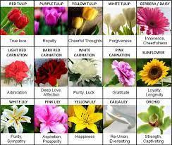 Check spelling or type a new query. Flowers That Represent Healing Google Search Flower Meanings Different Types Of Flowers Types Of Flowers