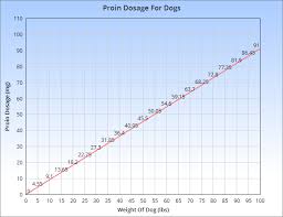 Proin For Dogs Veterinary Place