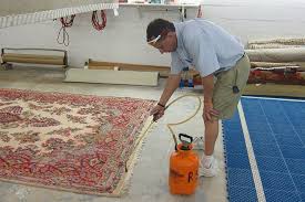 south fl oriental rug cleaning experts