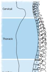 Cervical Spinal Cord Injury Prognosis Recovery At