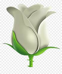 white rose emoji png transpa png