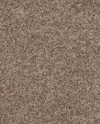 shaw carpet the next move z6855