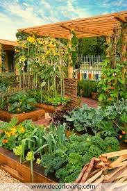 Backyard Vegetable Garden Design Ideas