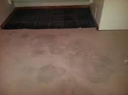 renew carpet cleaning