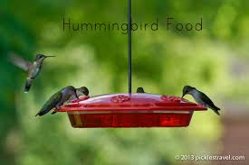 hummingbird food going to the birds