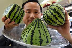 27 000 Melons Japans Luxury Fruit Obsession Cnn Travel