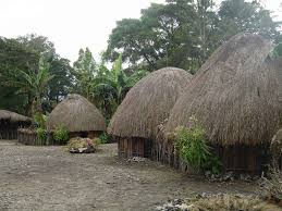 Salah satu dari ratusan rumah adat yang memiliki. Rumah Adat Papua Nama Keunikan Gambar