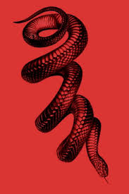 Un fond d'écran futura à télécharger. Red And Black Snake Wallpapers Top Free Red And Black Snake Backgrounds Wallpaperaccess
