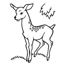 Hope you liked our wild animals coloring pages to print for your kids. Top 20 Deer Coloring Pages For Your Little Ones