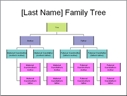 How To Draw A Family Tree On Microsoft Word Lamasa