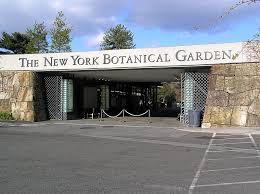 New York Botanical Garden Wikipedia