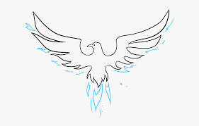 Learn to draw manga with my other website: How To Draw Phoenix Bird Easy Drawing Hd Png Download Transparent Png Image Pngitem